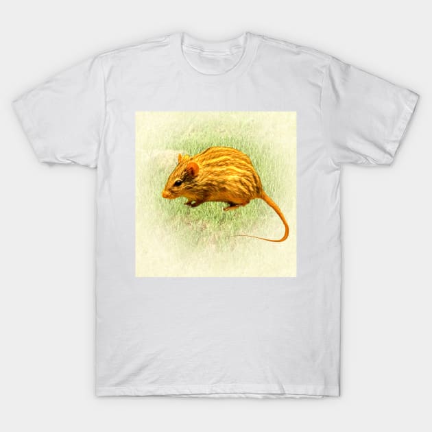 Striped grass mouse T-Shirt by Guardi